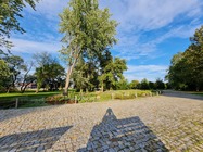 Samsung Galaxy Note20