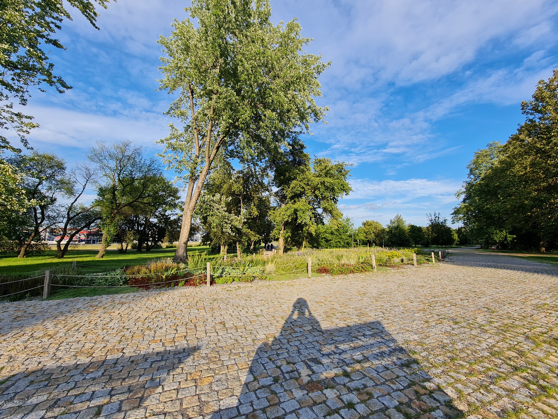 Samsung Galaxy Note20