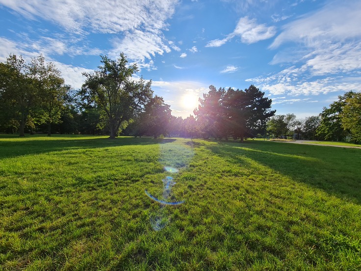 Samsung Galaxy Note20