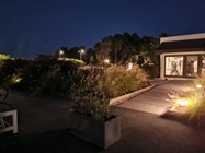 Samsung Galaxy Note20