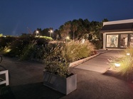 Samsung Galaxy Note20