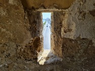 Samsung Galaxy Note20