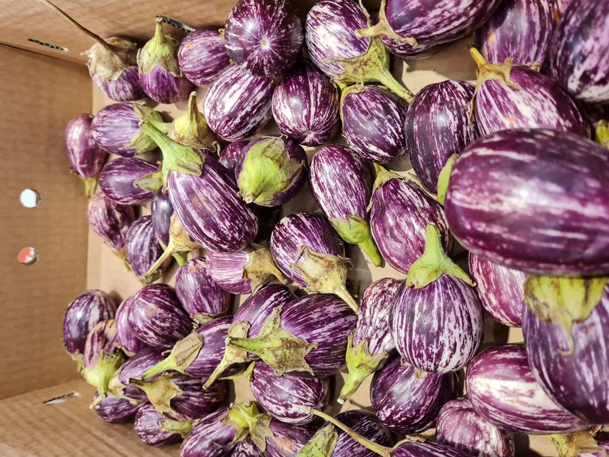 Samsung Galaxy Note20