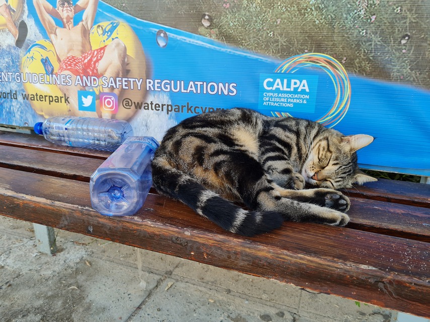 Samsung Galaxy Note20