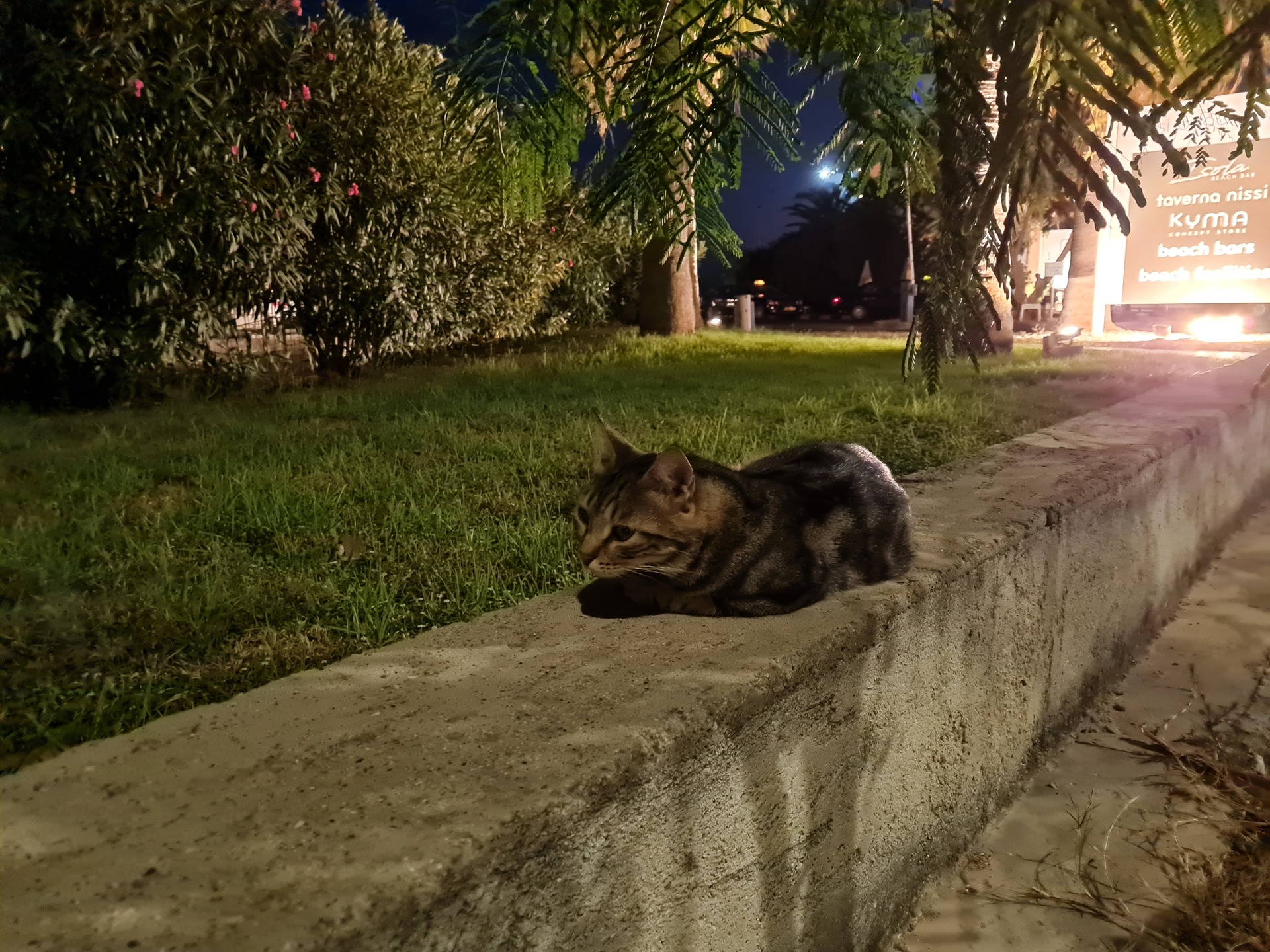 Samsung Galaxy Note20