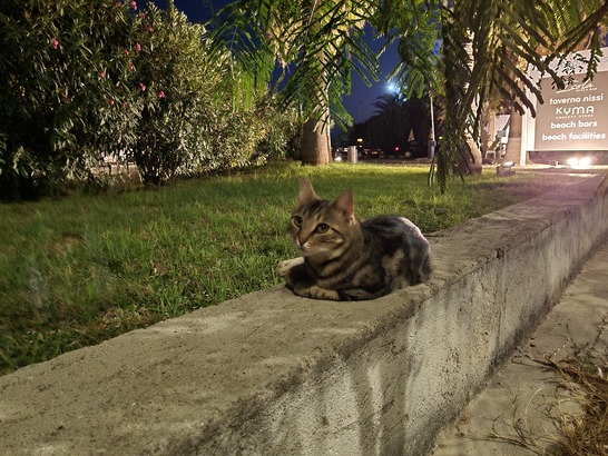 Samsung Galaxy Note20