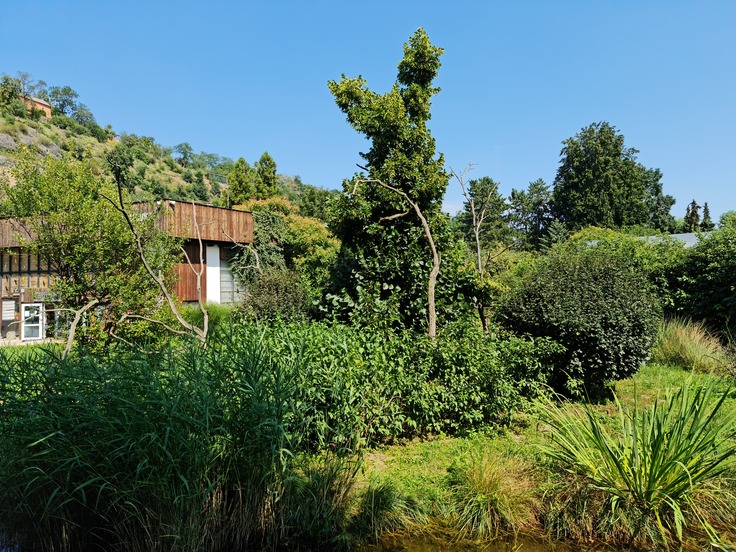 Samsung Galaxy Note20 Ultra 5G