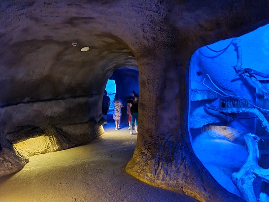 Samsung Galaxy Note20 Ultra 5G