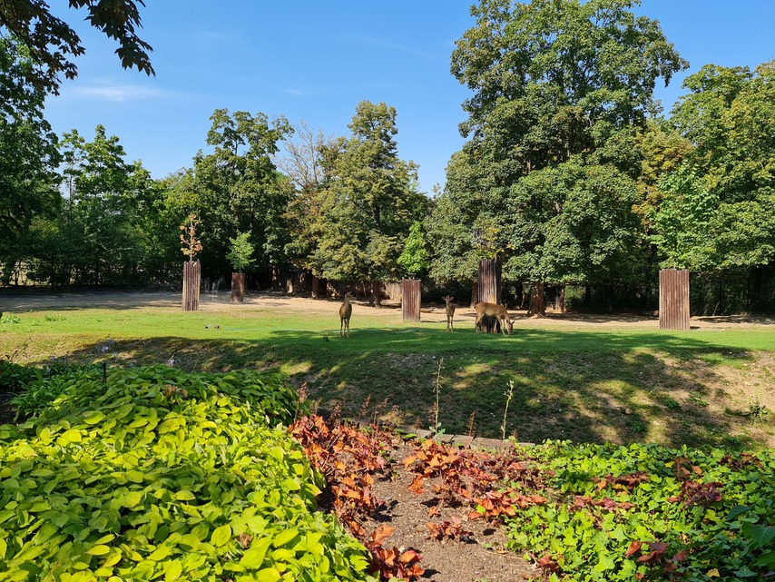 Samsung Galaxy Note20 Ultra 5G