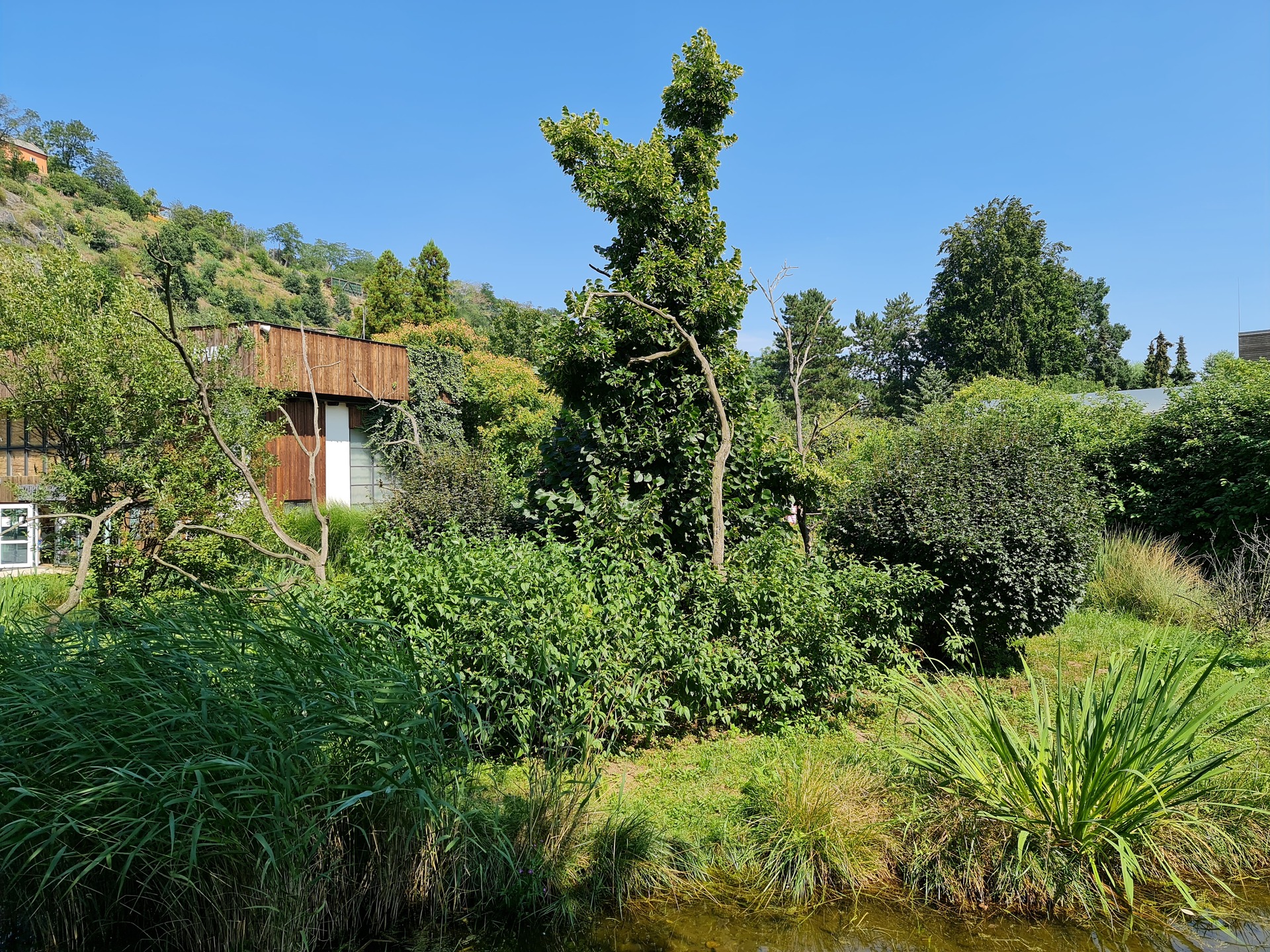 Samsung Galaxy Note20 Ultra 5G