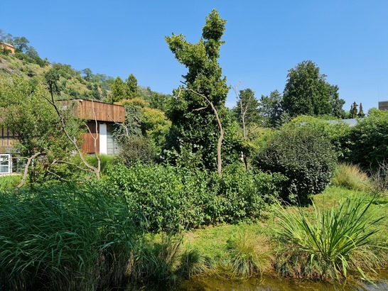 Samsung Galaxy Note20 Ultra 5G