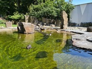 Samsung Galaxy Note20 Ultra 5G