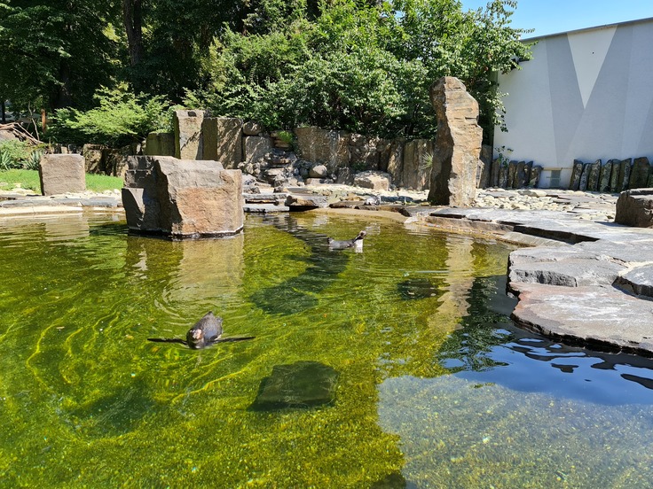 Samsung Galaxy Note20 Ultra 5G