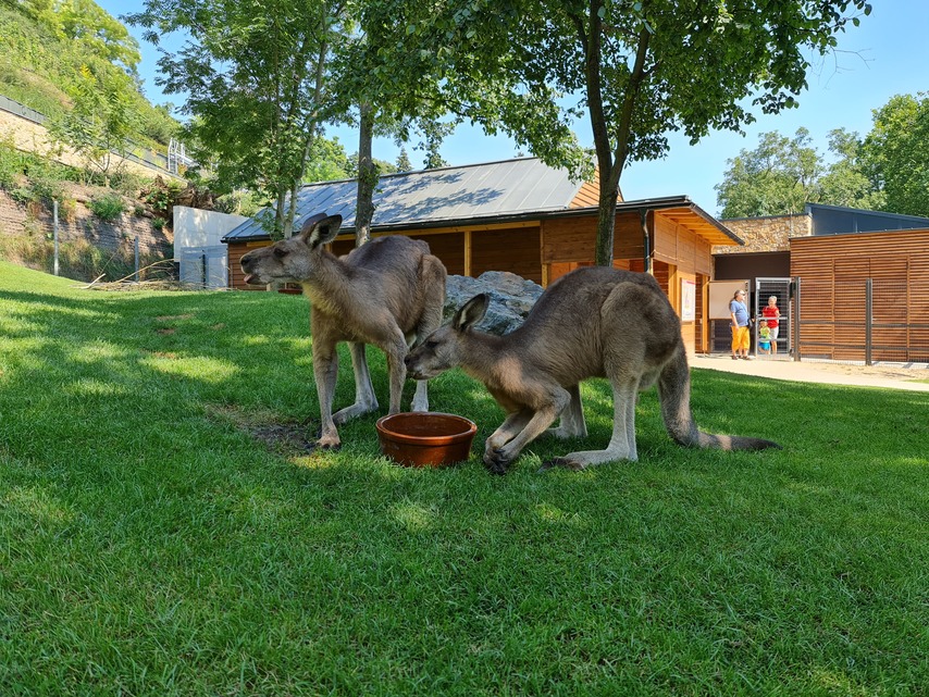 Samsung Galaxy Note20 Ultra 5G