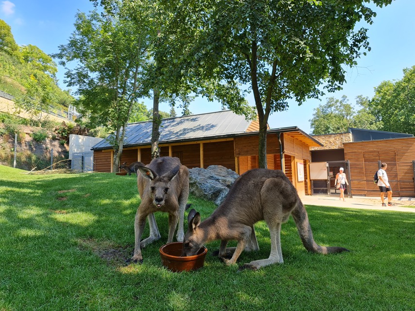 Samsung Galaxy Note20 Ultra 5G