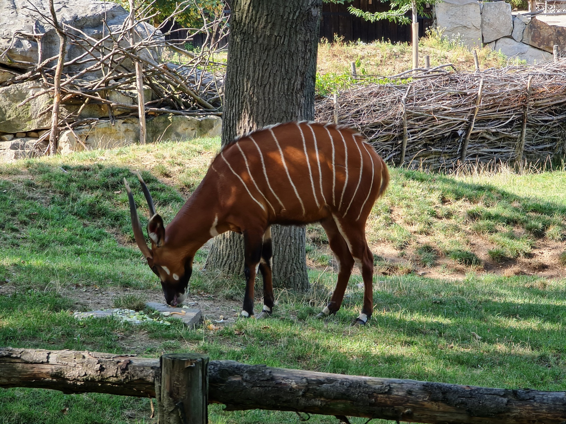 Samsung Galaxy Note20 Ultra 5G