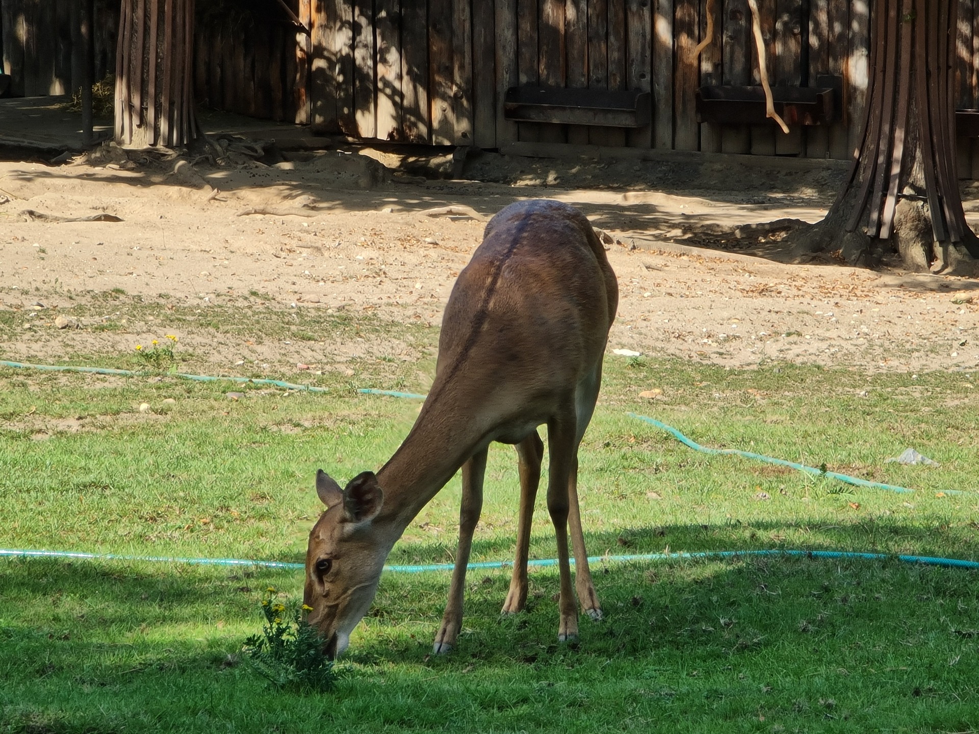 Samsung Galaxy Note20 Ultra 5G