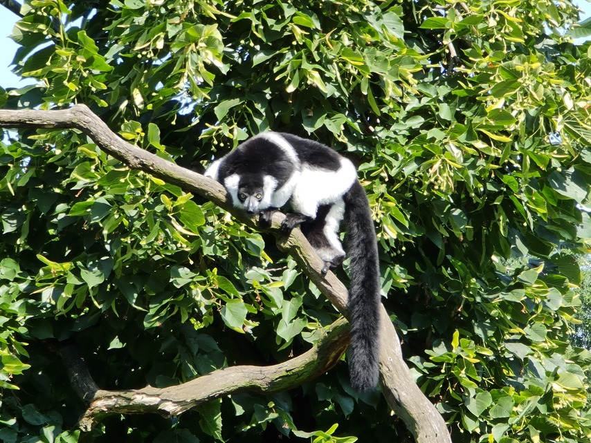 Samsung Galaxy Note20 Ultra 5G