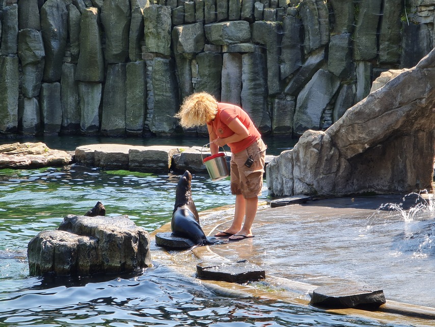 Samsung Galaxy Note20 Ultra 5G