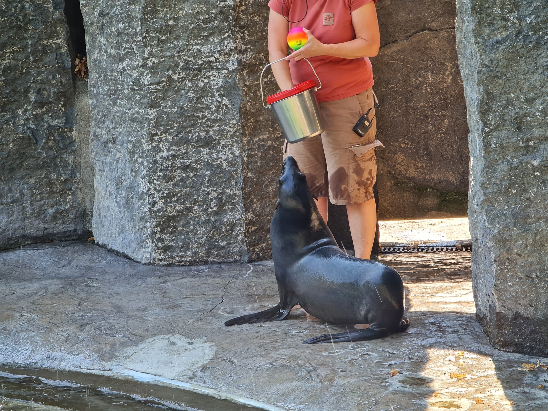 Samsung Galaxy Note20 Ultra 5G