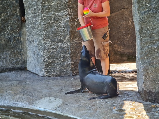 Samsung Galaxy Note20 Ultra 5G