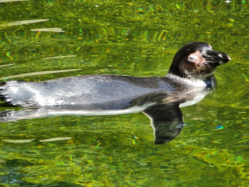 Samsung Galaxy Note20 Ultra 5G