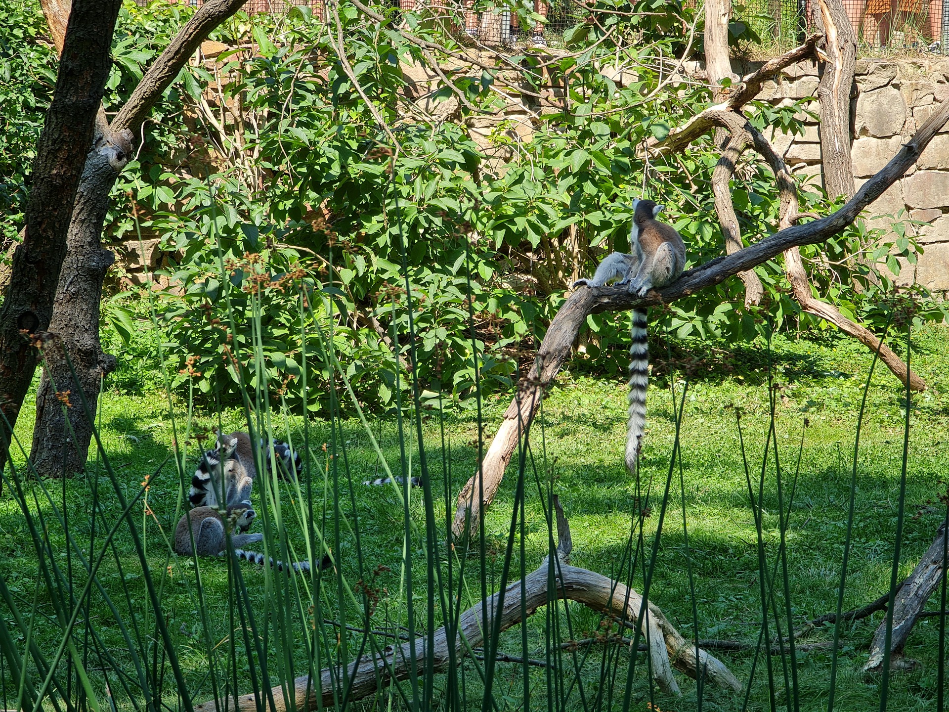 Samsung Galaxy Note20 Ultra 5G