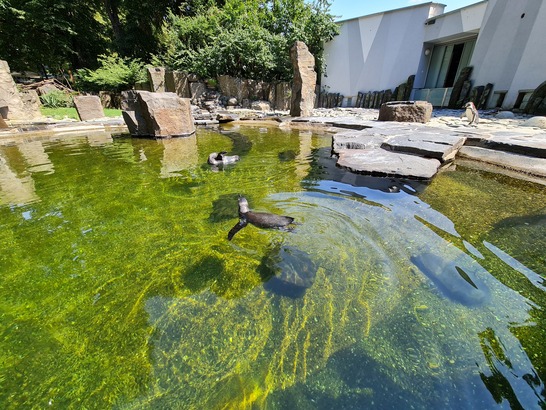 Samsung Galaxy Note20 Ultra 5G