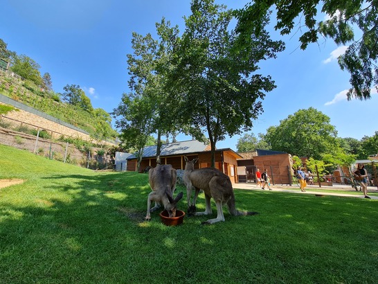 Samsung Galaxy Note20 Ultra 5G