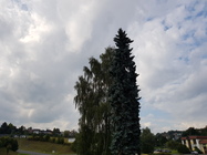 Samsung Galaxy Note8