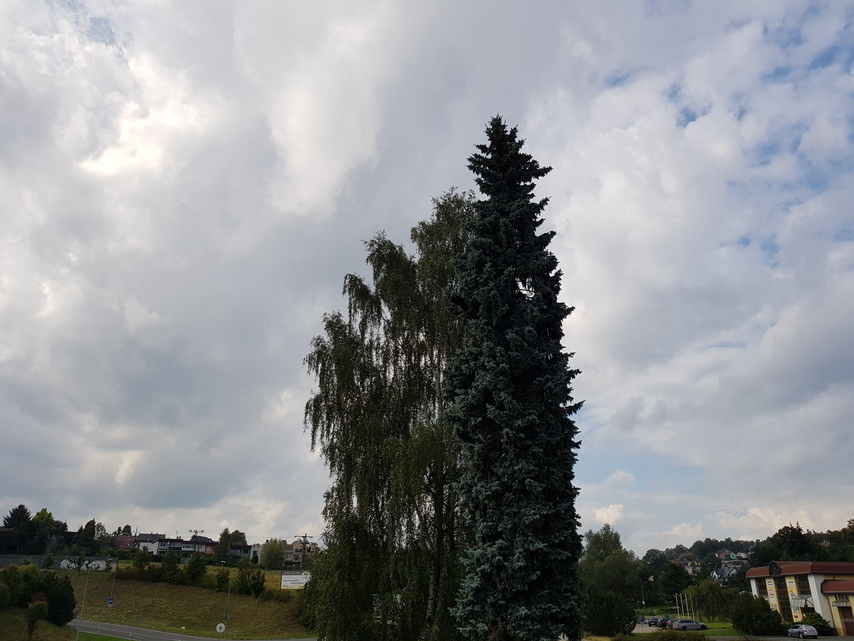 Samsung Galaxy Note8