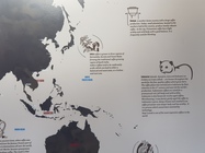 Samsung Galaxy Note8