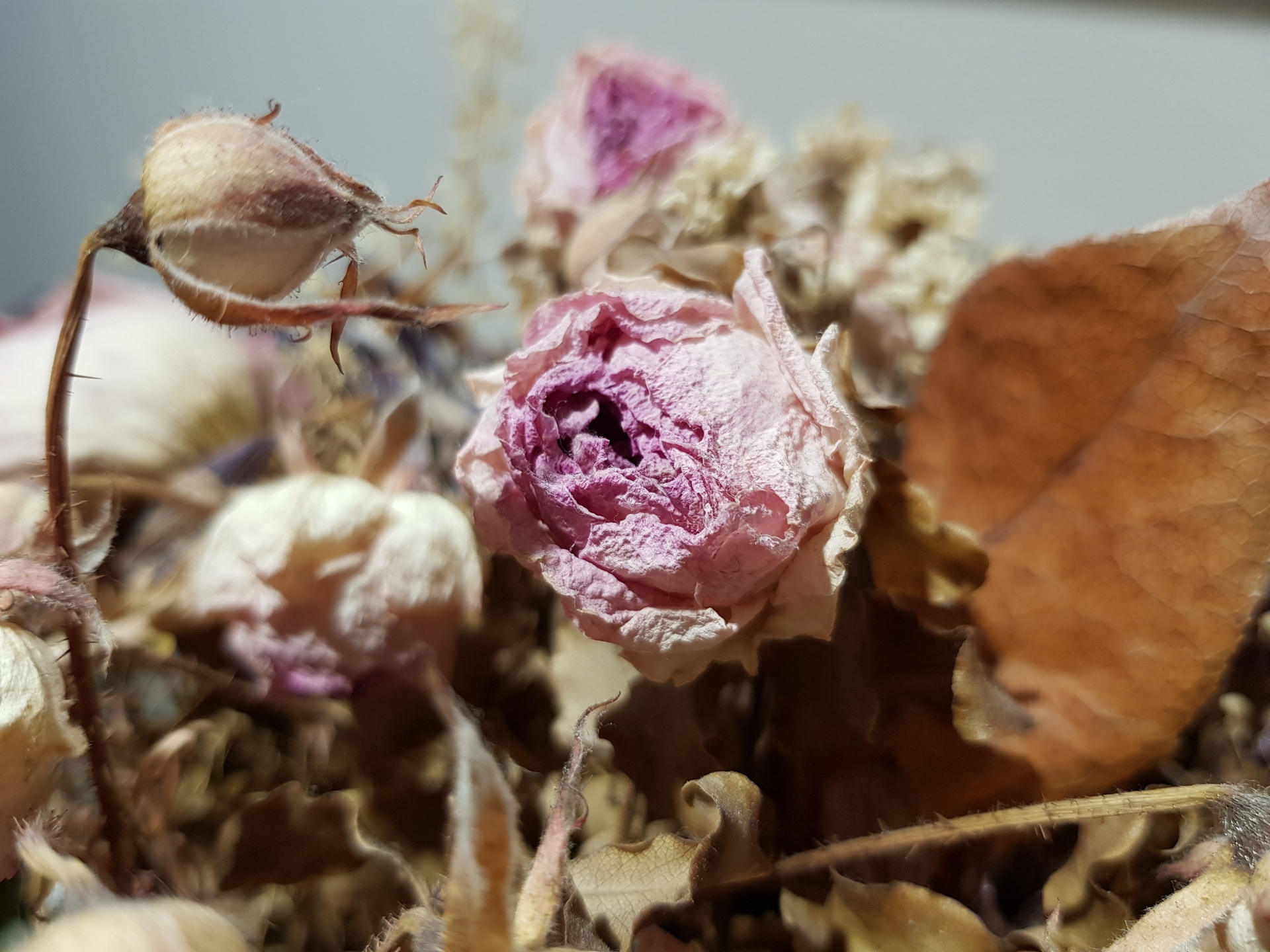 Samsung Galaxy Note8