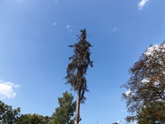 Samsung Galaxy Note9