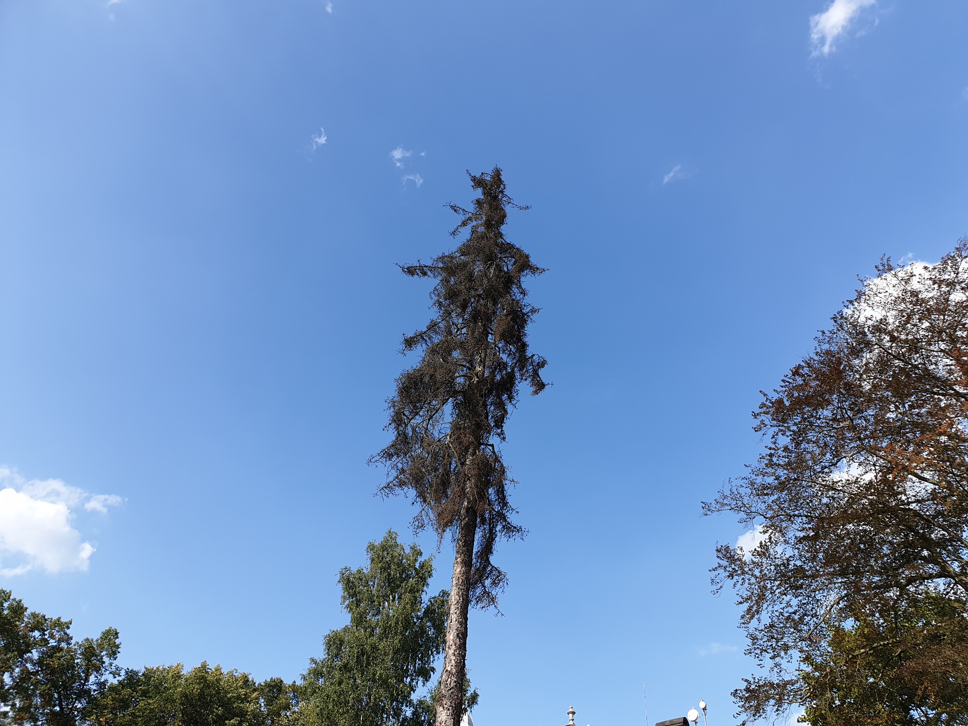 Samsung Galaxy Note9