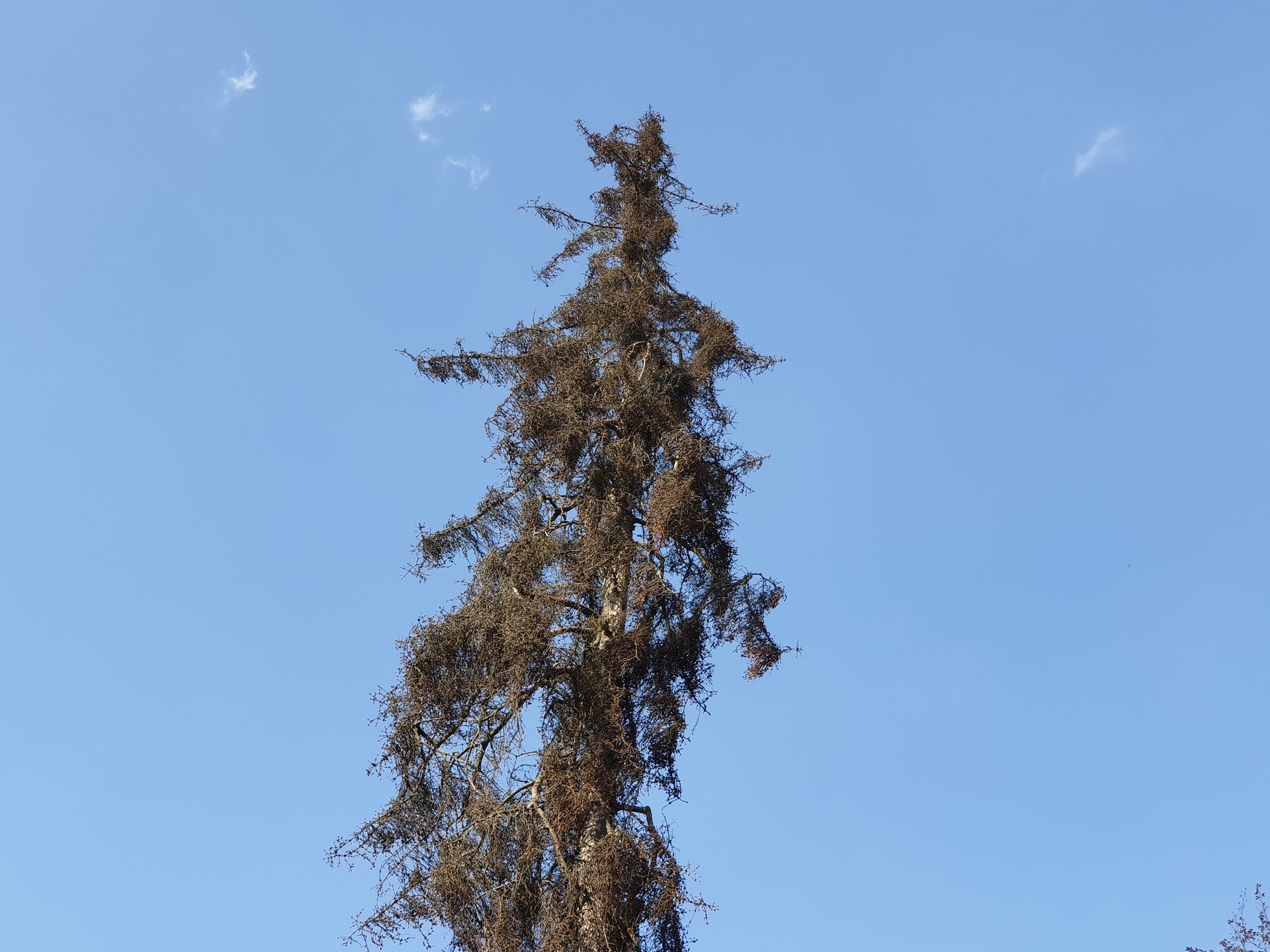 Samsung Galaxy Note9