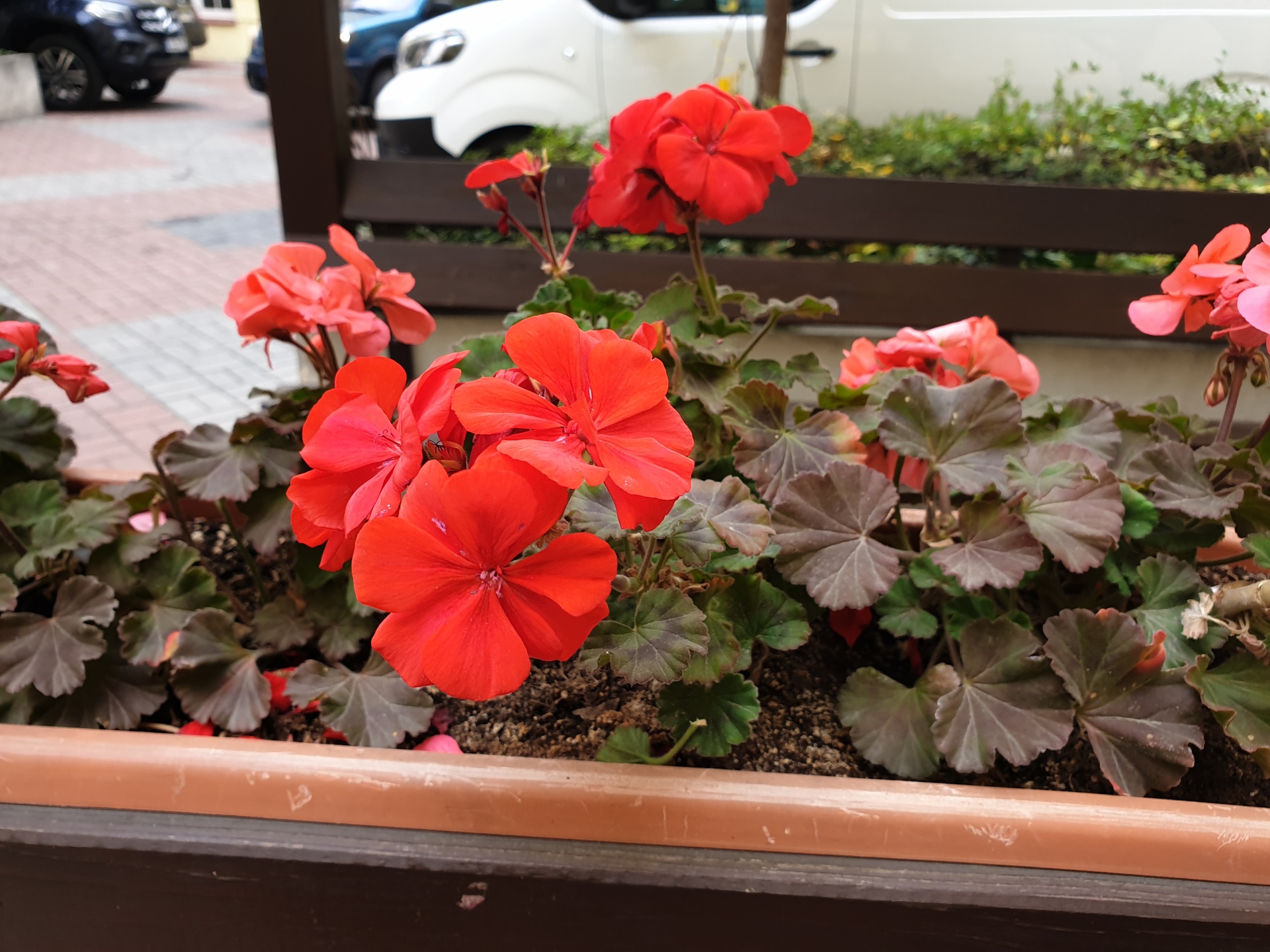 Samsung Galaxy Note9