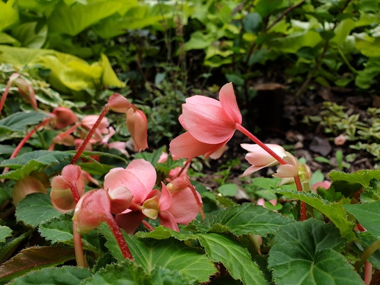 Samsung Galaxy Note9