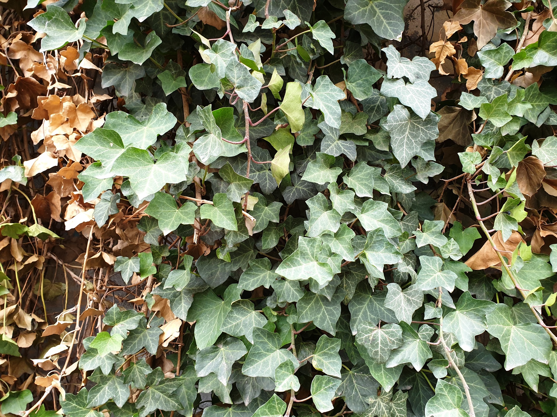 Samsung Galaxy Note9