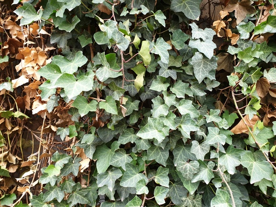 Samsung Galaxy Note9