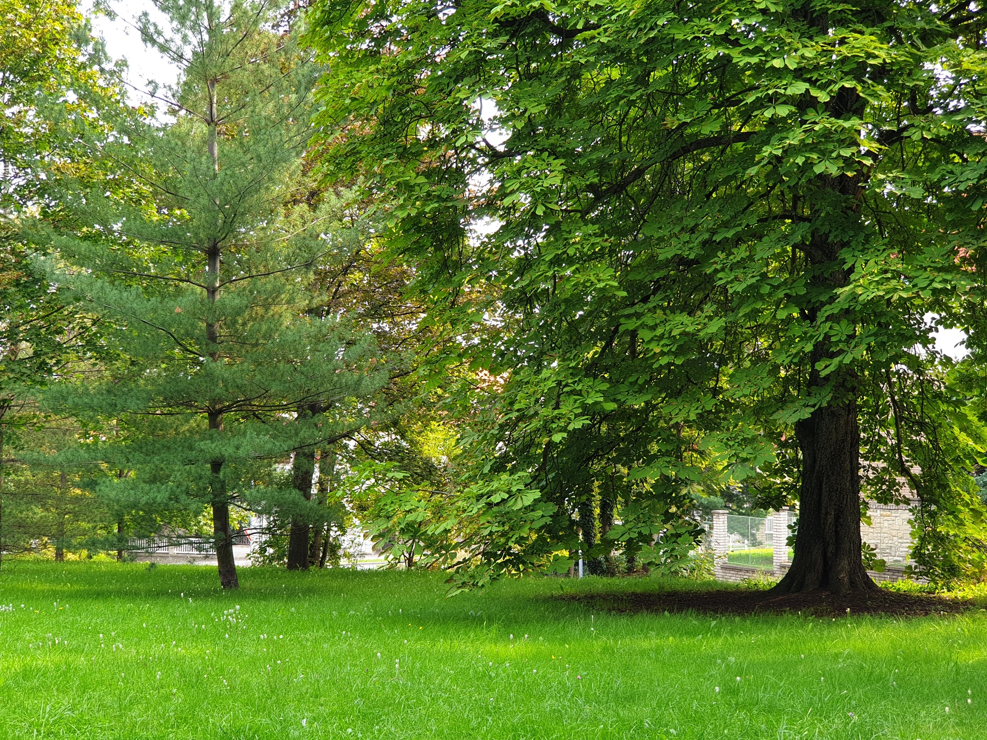 Samsung Galaxy Note9