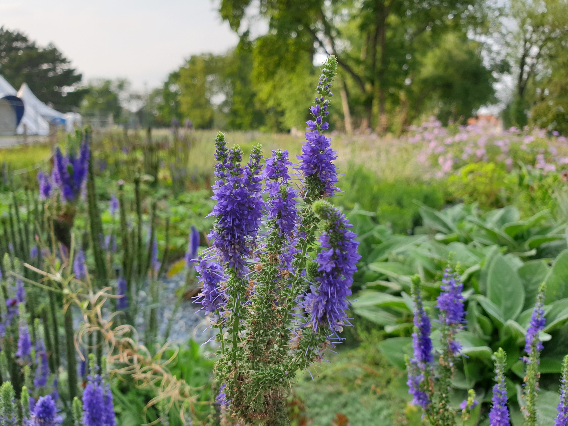 Samsung Galaxy Note9