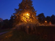 Samsung Galaxy Note9