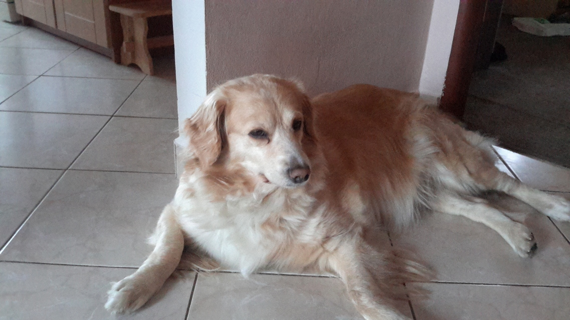 Samsung Galaxy NotePRO 12.2 Wi-Fi