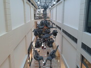 Samsung Galaxy S Advance