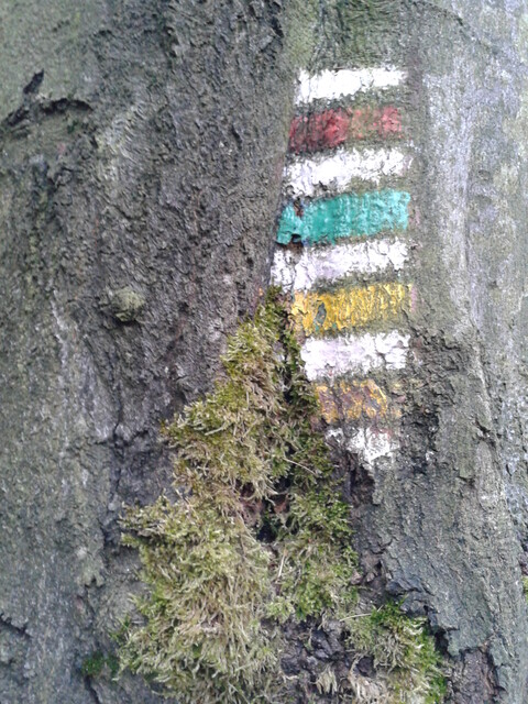 Samsung Galaxy S Advance