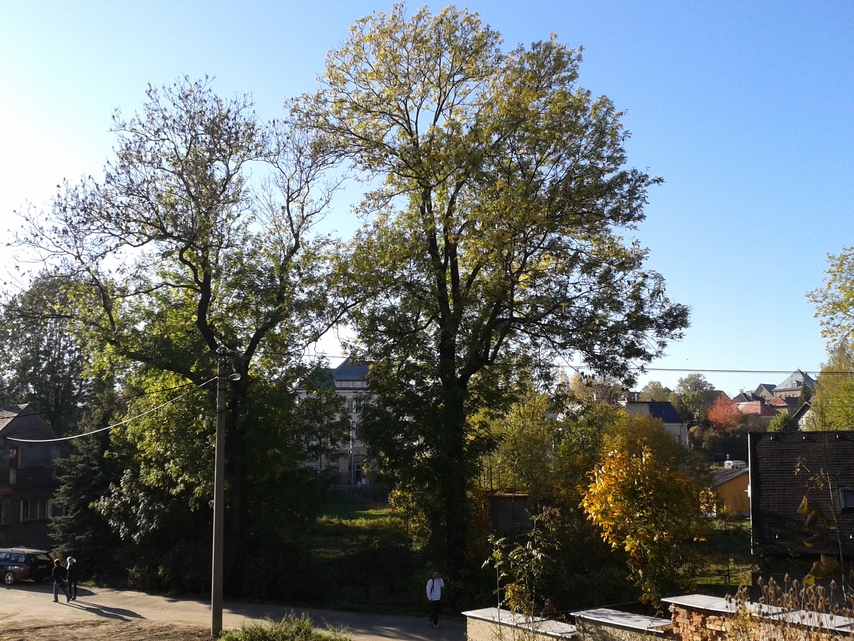 Samsung Galaxy S Duos