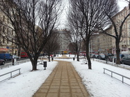 Samsung Galaxy S III