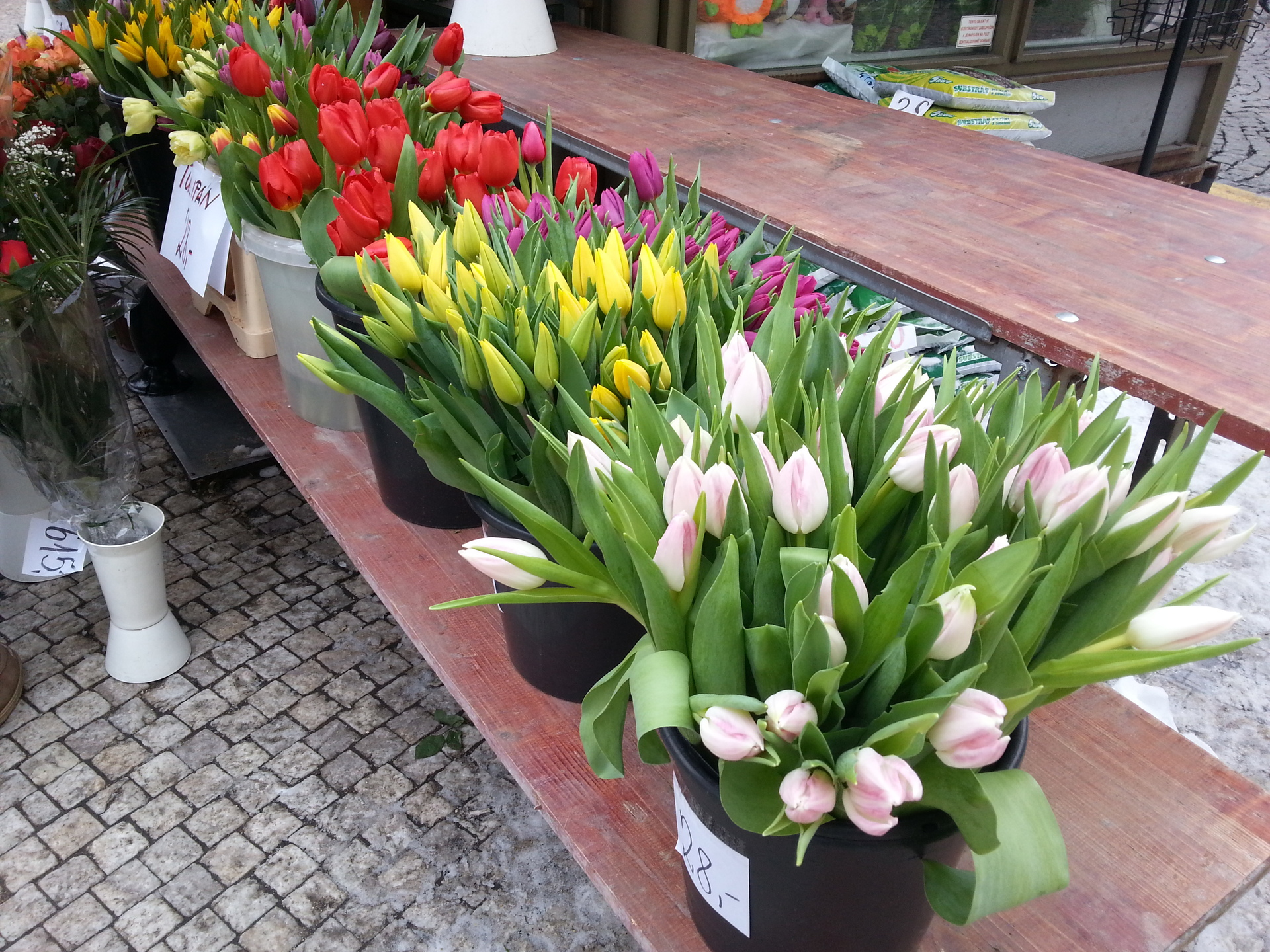 Samsung Galaxy S III