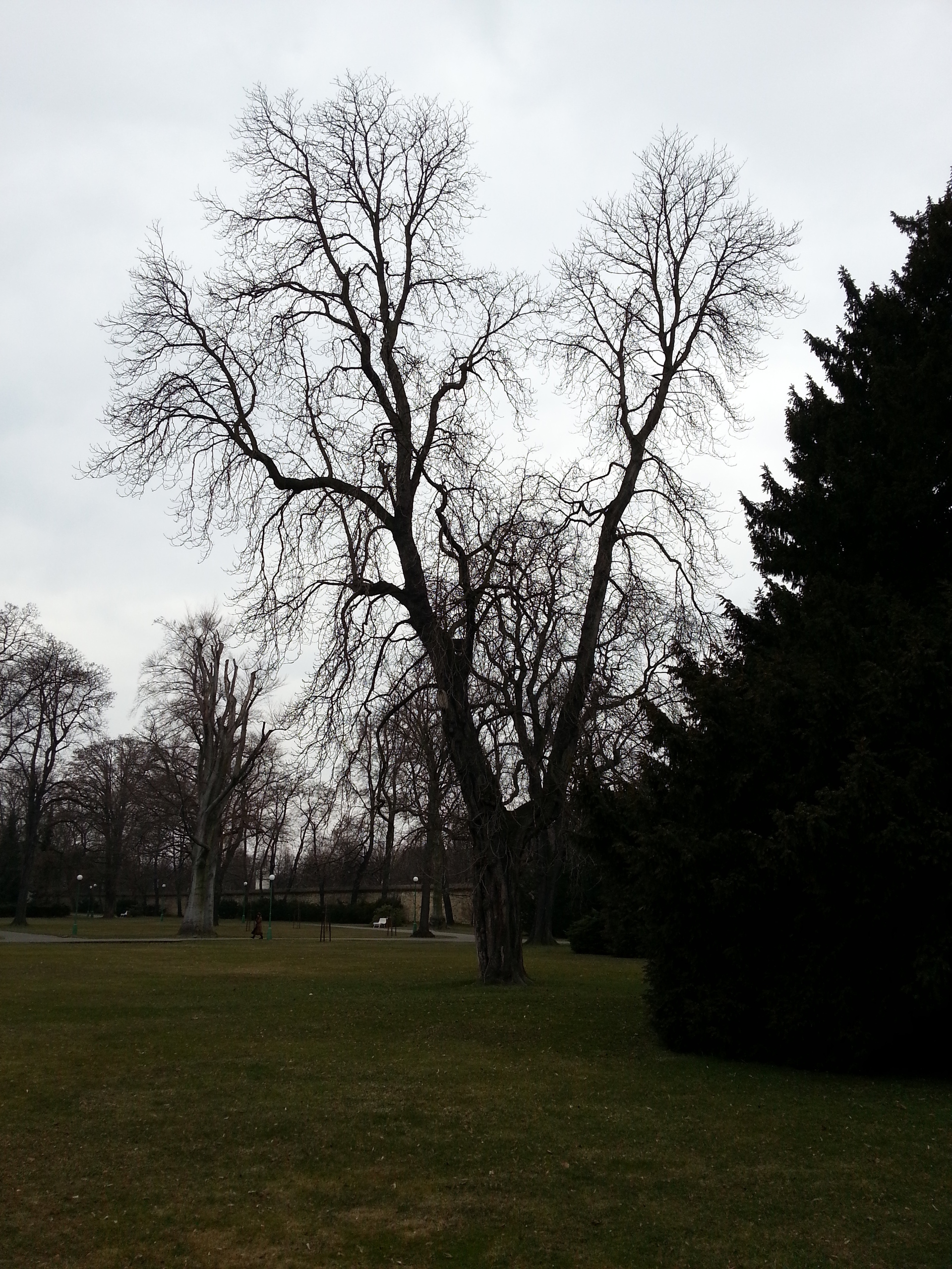 Samsung Galaxy S III